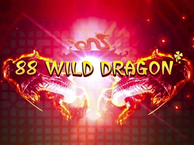 88 Wild Dragon